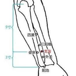 丨跟我学腧穴丨外关穴、支沟穴、会宗穴、三阳络穴、四渎穴