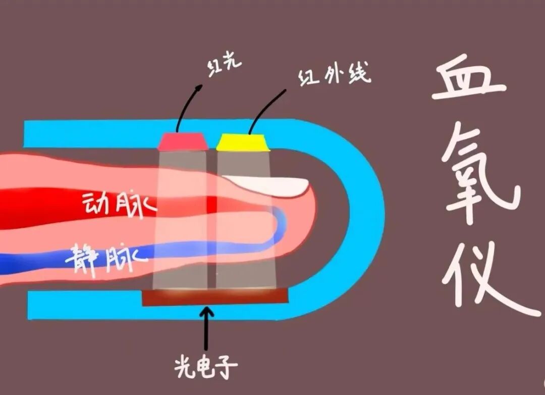 【科普】简单好用的家用血氧仪,你可能一直没用对!