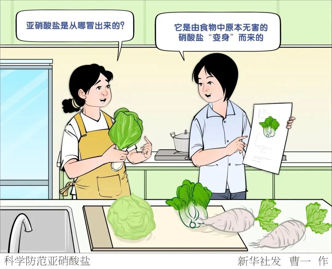 “一周备餐”究竟是否靠谱?