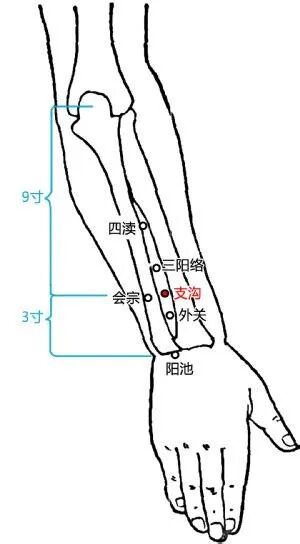 丨跟我学腧穴丨外关穴、支沟穴、会宗穴、三阳络穴、四渎穴
