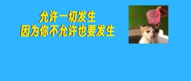 阑尾肿成“果冻肠”？医生：这东西一旦漏出来，满肚子都遭殃！