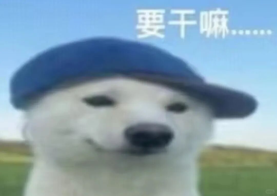 阑尾肿成“果冻肠”?医生:这东西一旦漏出来,满肚子都遭殃!