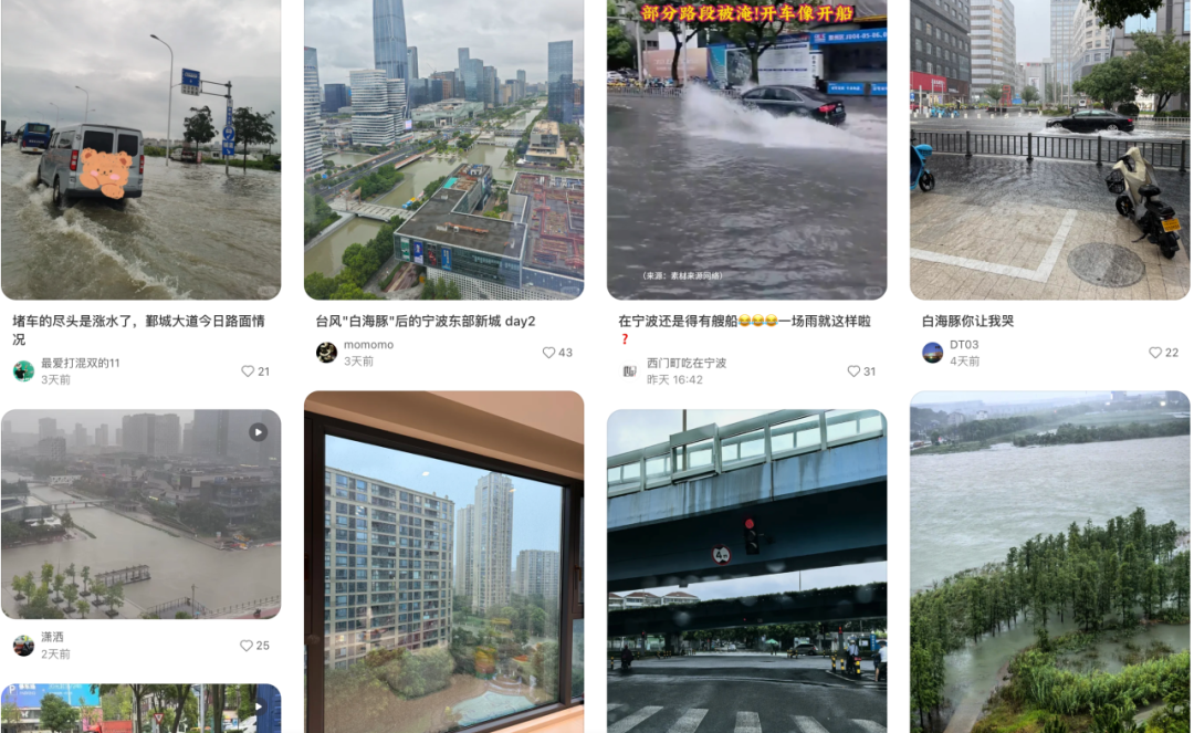 强降雨过后不止蚊子多!趟水、泡湿食物、居家环境都藏着健康隐患