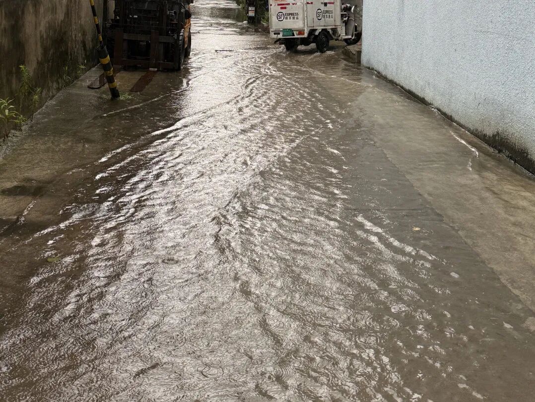 强降雨过后不止蚊子多!趟水、泡湿食物、居家环境都藏着健康隐患