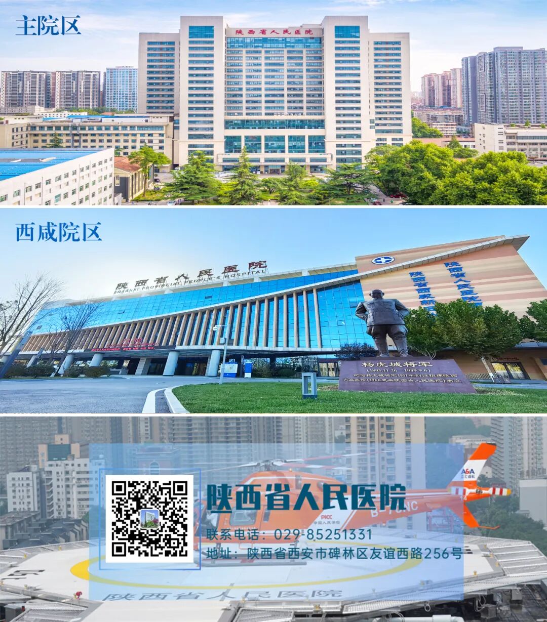 陕西省人民医院召开中国医师节表彰大会