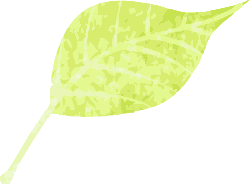 聚力质控,规范诊疗|江苏省麻醉学科强基提质专项督导、复盘交流会(苏北站)暨2026年宿迁市麻醉科质控培训班成功举办