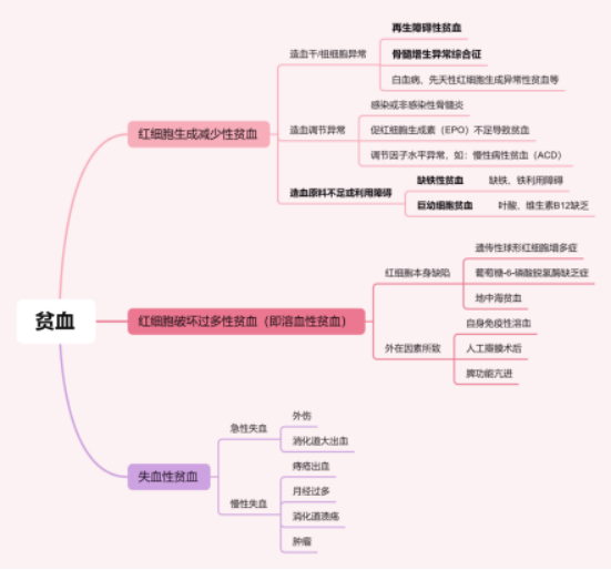 8·18中国贫血日|别让贫血偷走你的健康:科学防治,从日常做起