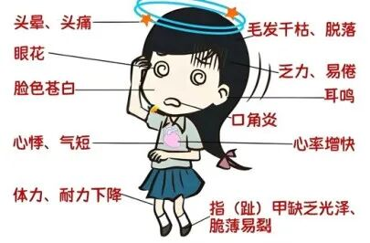 8·18中国贫血日｜别让贫血偷走你的健康：科学防治，从日常做起