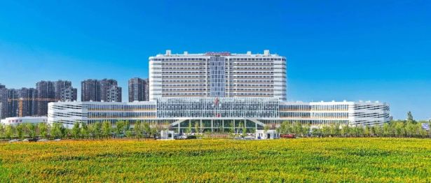 中国医师节 |新疆生产建设兵团医师协会康复医师分会给全体康复医务工作者的节日寄语
