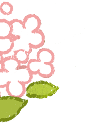【协作组科普】孕早期排畸第一关：读懂NT检查，心里有底不慌张