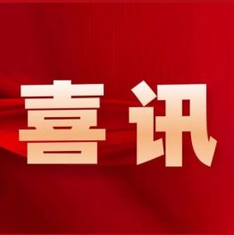 喜报｜再获佳绩！我院康复科参加2026阜阳市中医诊疗技术竞赛，个人一等奖、团体二等奖双双收入囊中
