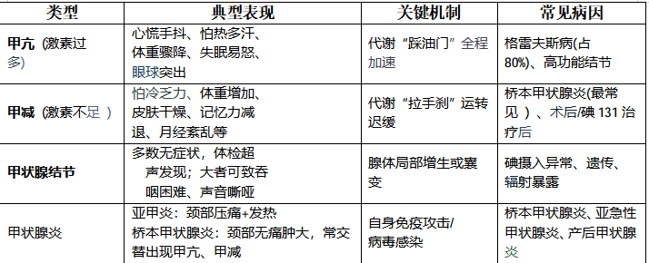 甲状腺：如何科学守护我们颈部代谢“小蝴蝶”！
