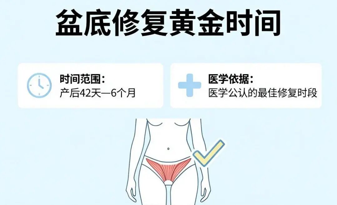 医语辟谣|生完孩子“没漏尿”就没有盆底损伤?NO!