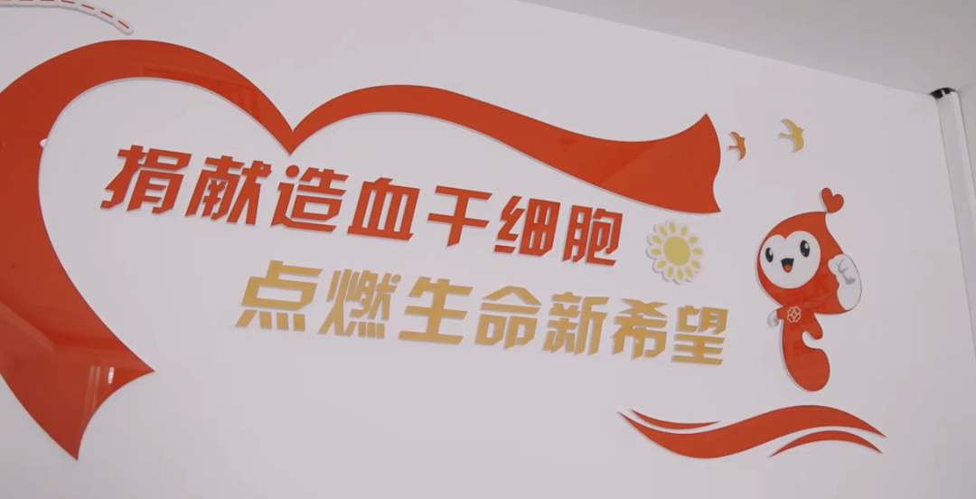医者担当 生命温度 | 苏州明基医院青年医师成为苏州市第346例造血干细胞捐献者