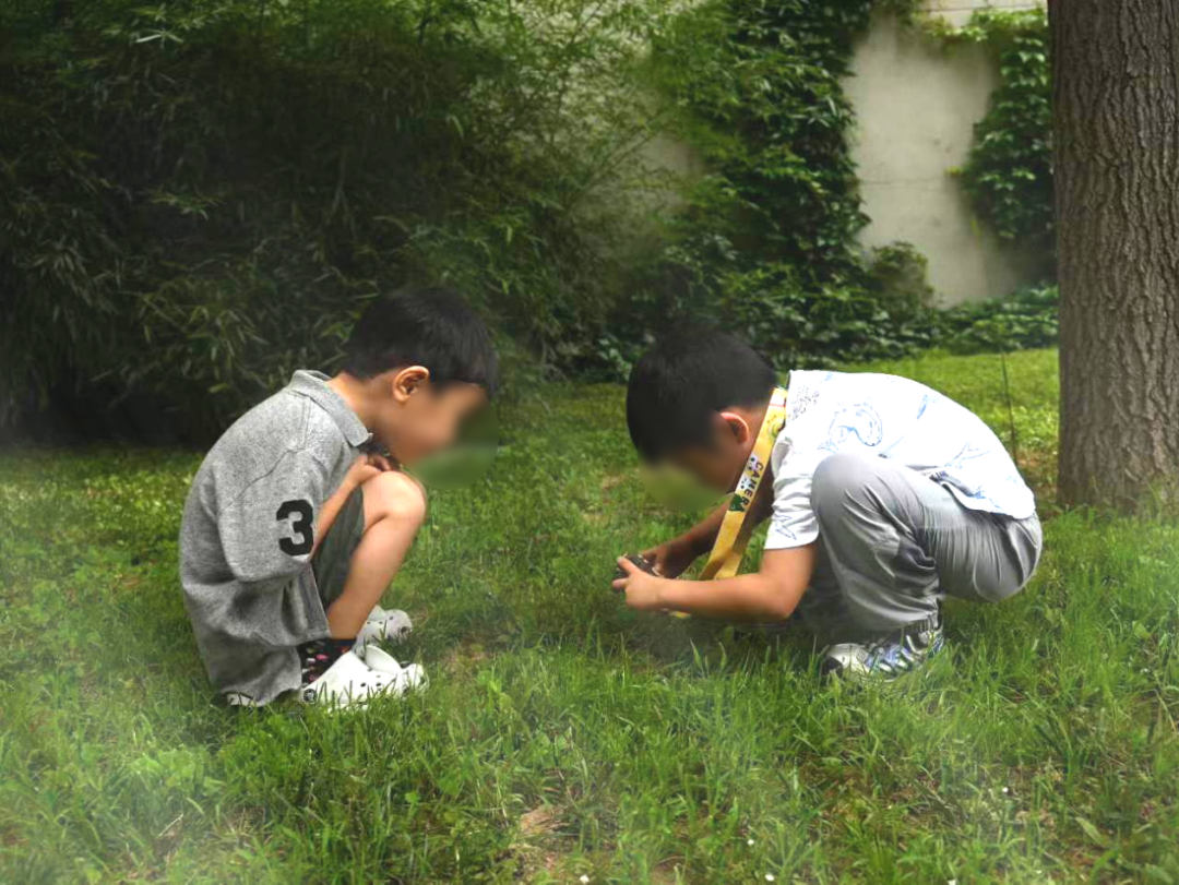 北京明德医院BigBoss职业体验营圆满收官｜最后一课“小小药师”探秘药品奇妙世界
