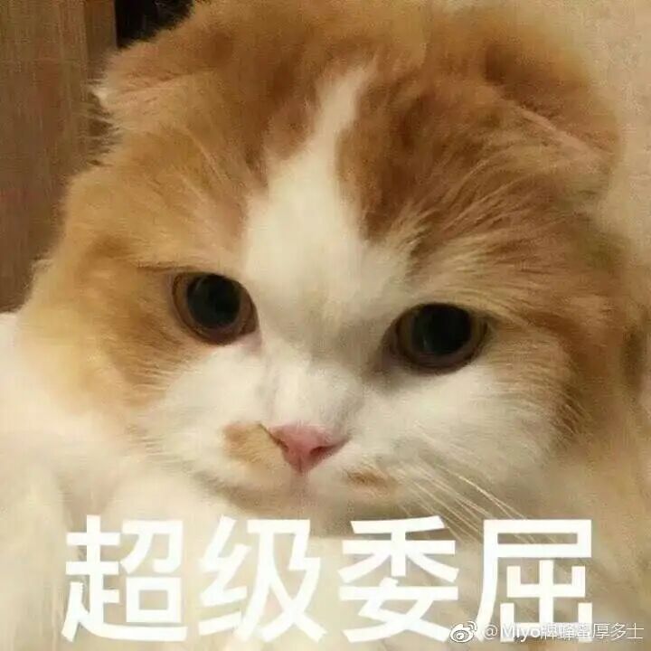 孩子一开学就生病?可能是这4件事没做好!