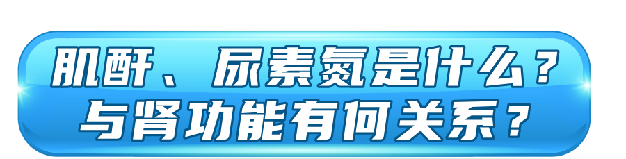 体检易忽视的两项指标，能反映肾脏健康，医生解读→