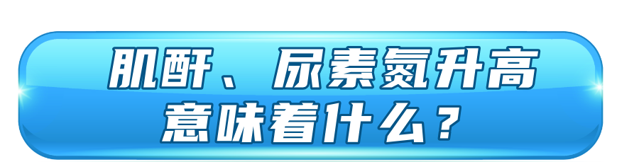 体检易忽视的两项指标，能反映肾脏健康，医生解读→