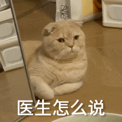 不当减脂伤肠胃？医生教你科学减脂新思路