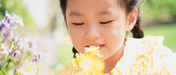 春风十里，喷嚏不止？季节性过敏的“侦探”与“安抚”指南