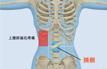 EUS-PD 超声内镜胰管引流,攻克难治性慢性胰腺炎