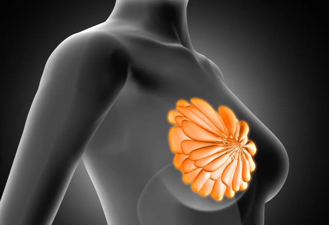 乳房的悄悄话｜别把“小结节”当成“坏消息”