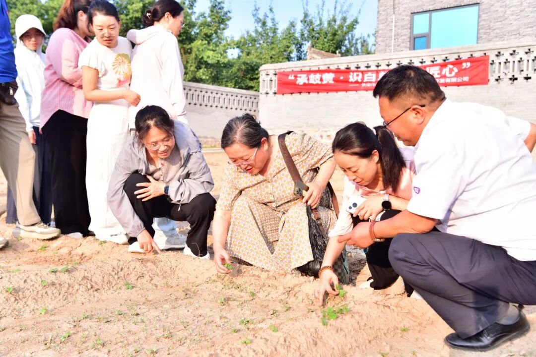 承岐黄、识百草、传匠心 ——长治市中医医院赴中药材教学科研种植基地开展研学活动
