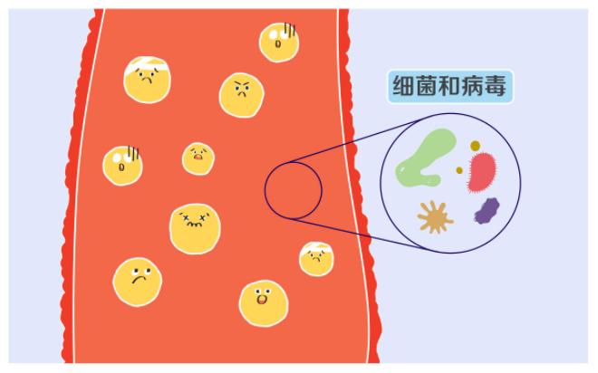 迎风流泪、无故溢泪?你的泪道可能正在“堵车”