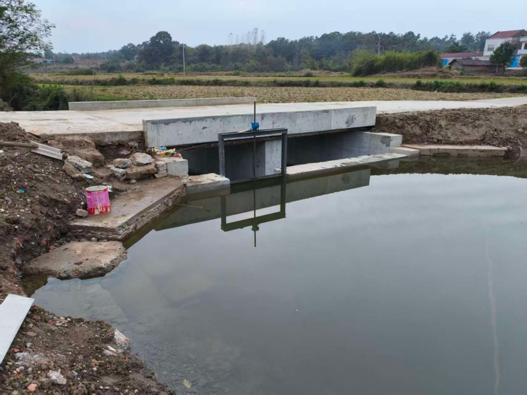 驻村更“驻心”，帮扶见真情——荆门市中心医院点亮谢花桥村振兴路