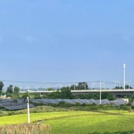 驻村更“驻心”，帮扶见真情——荆门市中心医院点亮谢花桥村振兴路