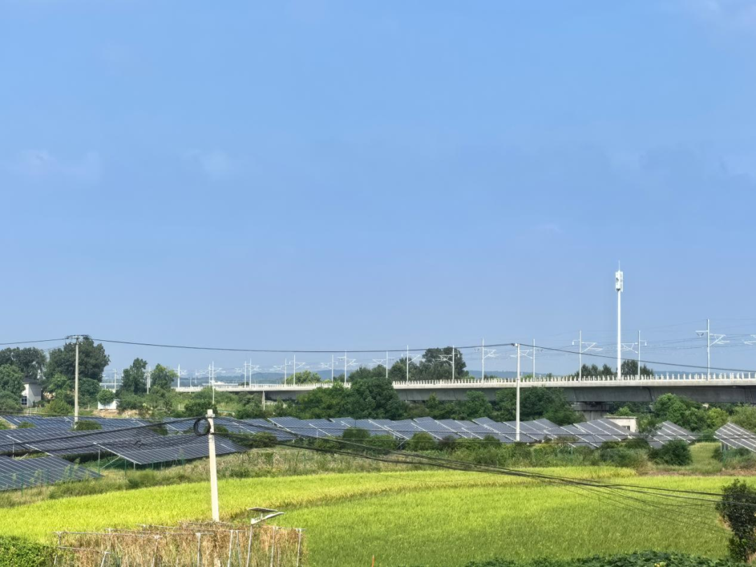 驻村更“驻心”，帮扶见真情——荆门市中心医院点亮谢花桥村振兴路