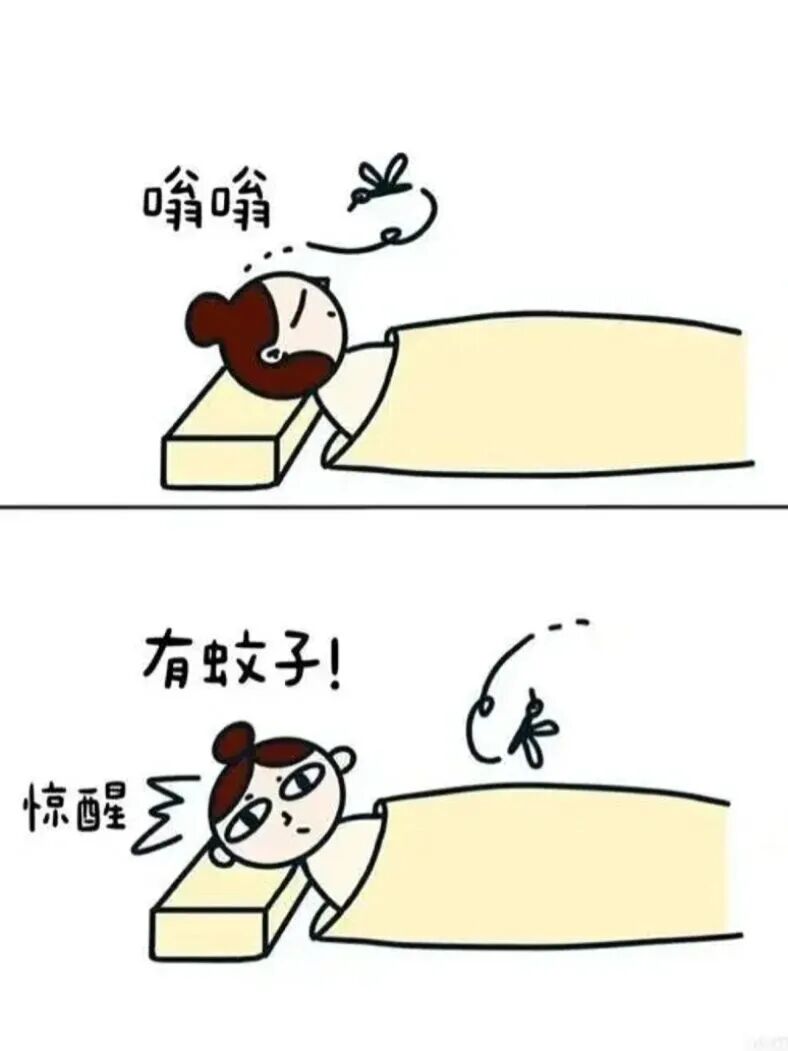 蚊虫叮咬别大意!一文分清登革热、基孔肯雅热,防护攻略收好