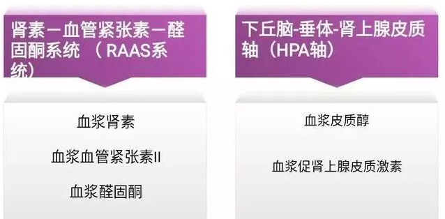 躺着查+站着查? 检查高血压为啥这么麻烦?