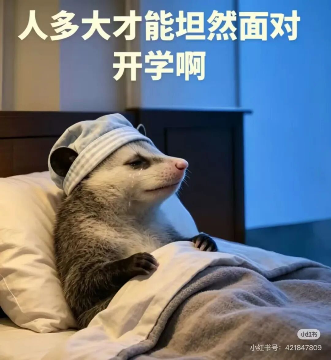 中山医声 | 开学季情绪“告急”？这份“开学综合征”应对指南请收好