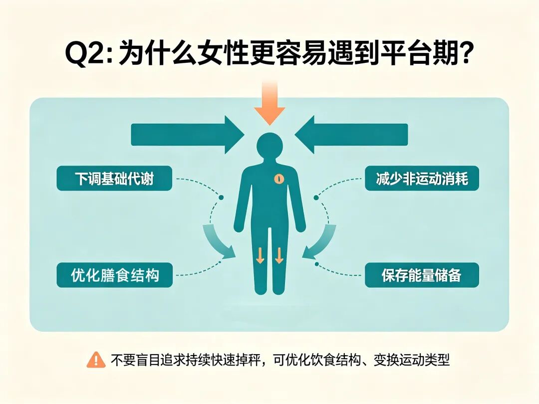 健康在线丨女性减重:体重反复≠不够自律,6问拆解背后的生理真相
