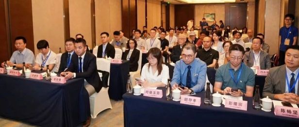 聚力大湾区，共启康复新篇章 | 大湾区康复医学会物理治疗专业委员会正式成立