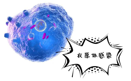 凝心聚力抓试点 医防融合护健康——阜阳市生殖道沙眼衣原体综合防控试点项目推进会在我院召开