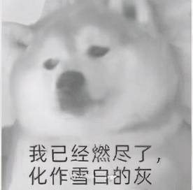 别让无知害了娃！东莞 9 岁女孩来月经，这些「催熟剂」就藏在你家→