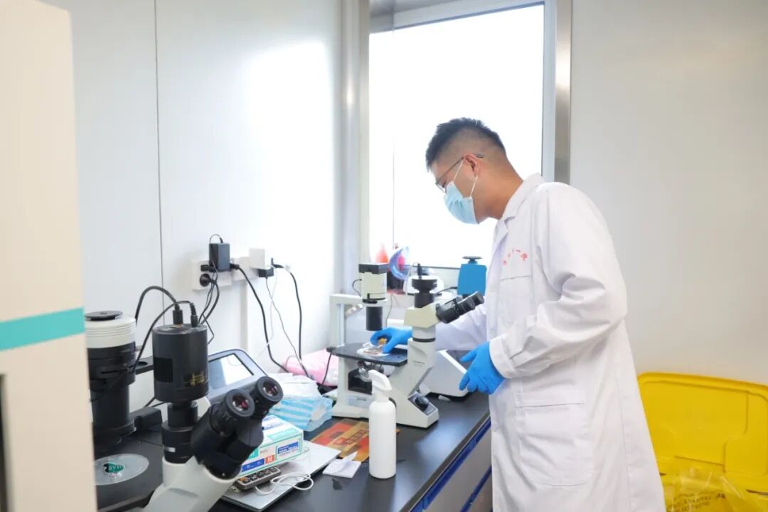 医者科研守初心|专访淮安市一院国自然青年项目负责人苏阳医师:深耕细胞治疗前沿,守护血液病患者生机