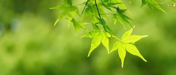 关于白内障，医生说了10句大实话，让你少花冤枉钱！