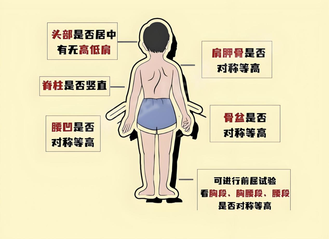 健康科普 | @家长们，开学前这些准备工作，记得要做！