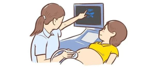 【协作组科普】胎儿致畸高危因素与科学预防：一位产科医生的深度解读（下）