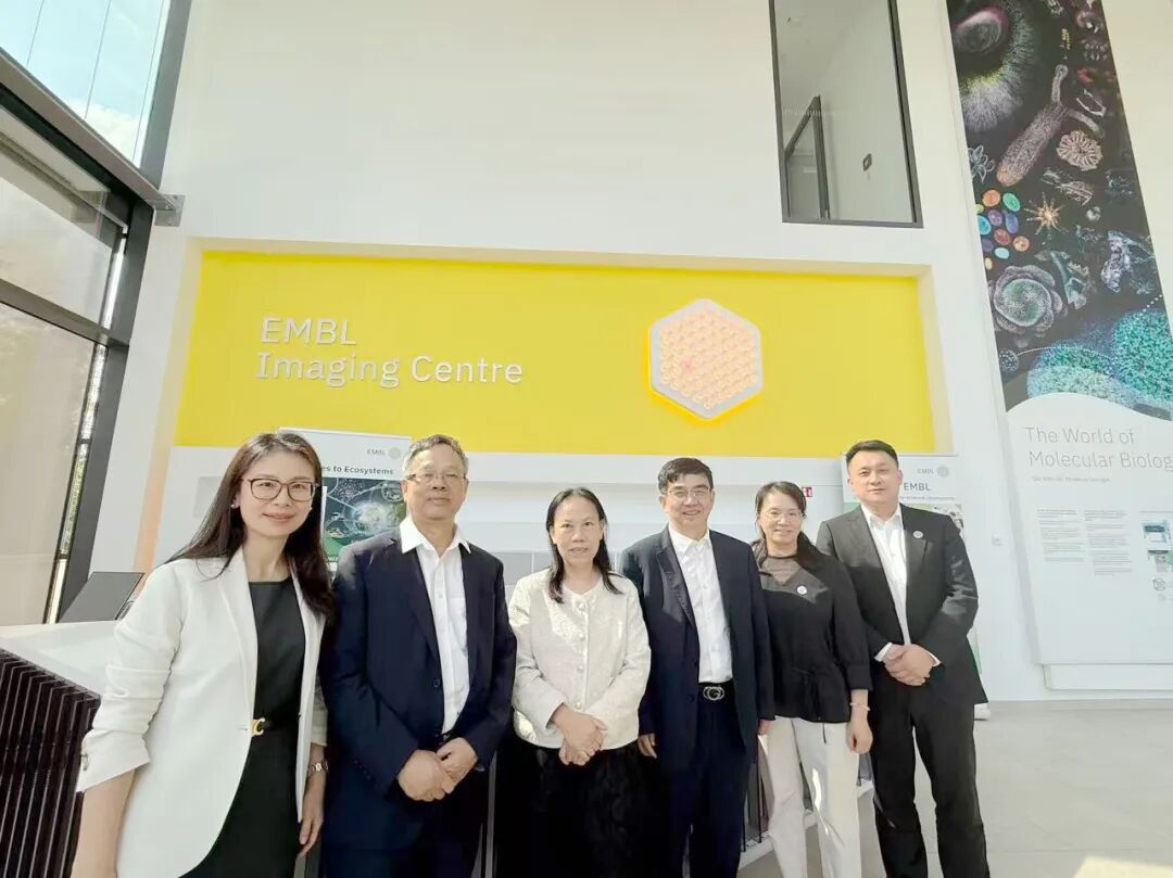 广西医科大一附院地中海贫血防治研究团队赴德国海德堡大学医院访问交流