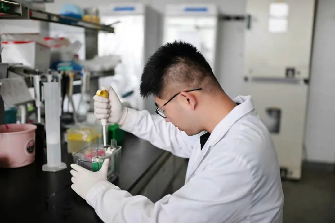 undefined 医者科研守初心|专访淮安市一院国自然青年项目负责人夏天:解码抑郁奥秘 深耕脑科学前沿