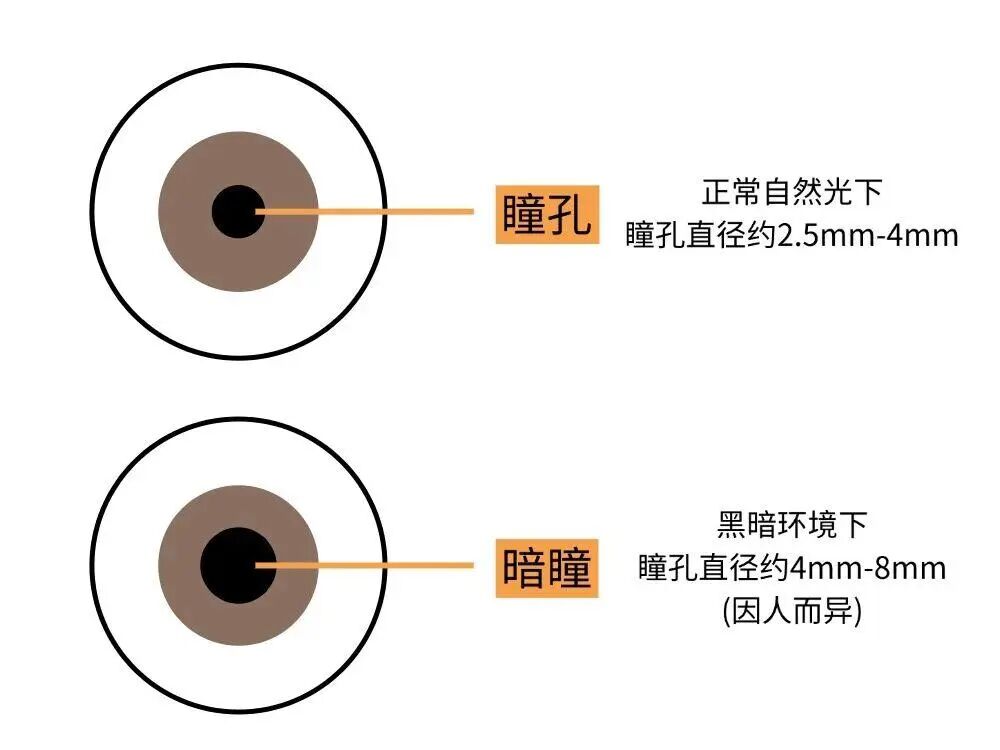 暗瞳比较大,选V5晶体效果就一定更好吗?
