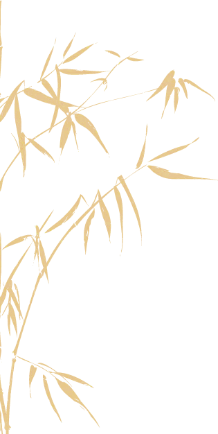祝贺！我院教师曾桂芬在第六届广西高校教师教学创新大赛中荣获区赛三等奖