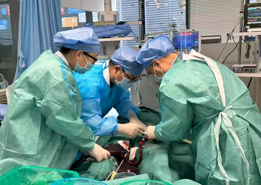 多学科协作,ECMO 护航|我院成功救治急性心梗合并极重度心源性休克危重患者