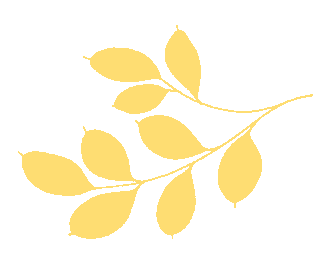 祝贺！我院教师曾桂芬在第六届广西高校教师教学创新大赛中荣获区赛三等奖