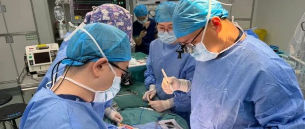 从黑龙江到深圳，3000 公里的奔赴！出生 9 天的他，被整个城市「捧」在手心