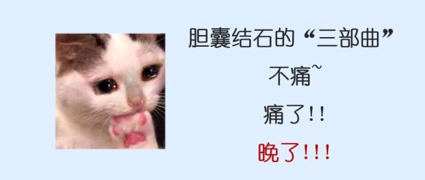 连续3个年轻的胆囊癌患者，让我决定写下这篇文章